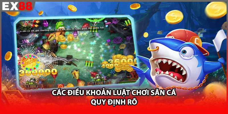 Các điều khoản luật chơi săn cá quy định rõ