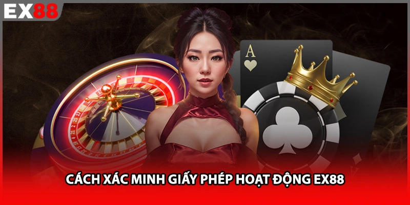 Cách xác minh giấy phép hoạt động EX88