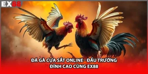 Đá Gà Cựa Sắt Online - Đấu Trường Đỉnh Cao Cùng EX88