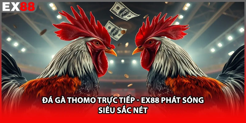 Đá Gà Thomo Trực Tiếp - EX88 Phát Sóng Siêu Sắc Nét