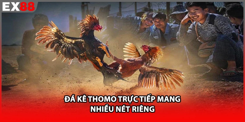Đá kê Thomo trực tiếp mang nhiều nét riêng