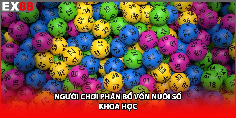 Người chơi phân bổ vốn nuôi số khoa học