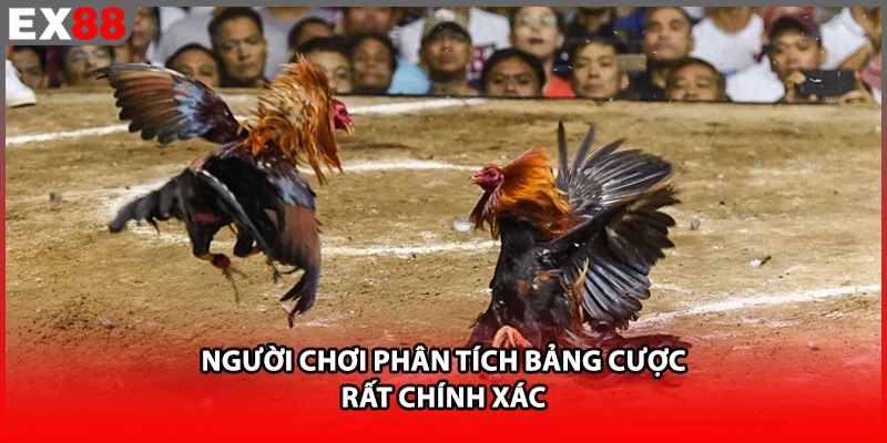 Người chơi tại EX88 phân tích bảng cược rất chính xác