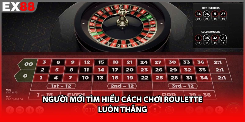Người mới tìm hiểu cách chơi Roulette luôn thắng